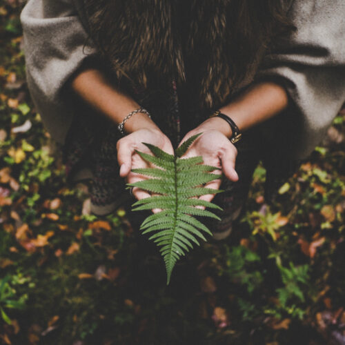 eco-friendly policies