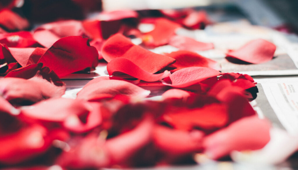 rose essential oil