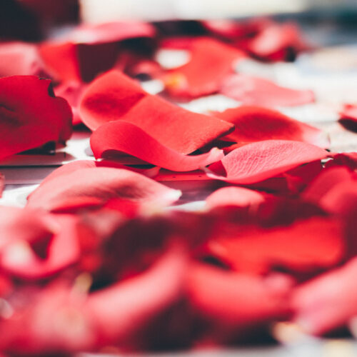 rose essential oil