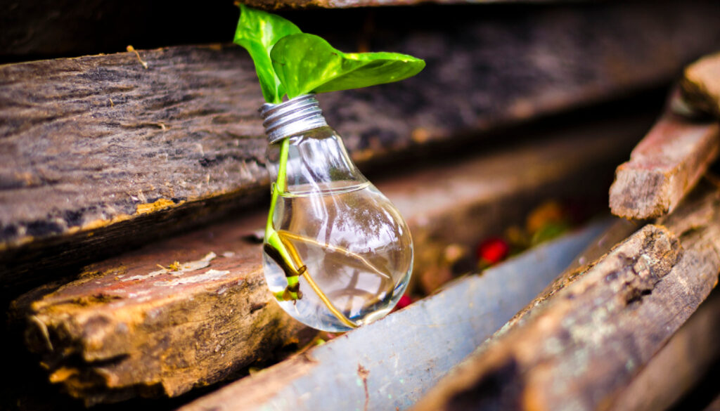 eco packaging
