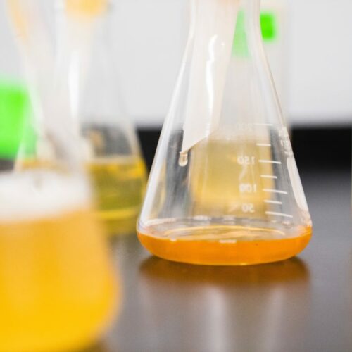 chemicals-parabens