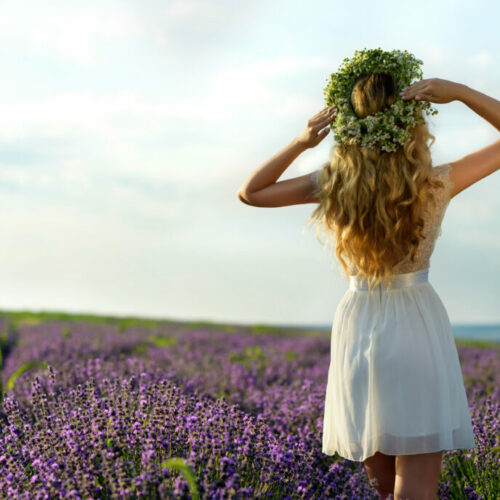 hair rehab hair detox